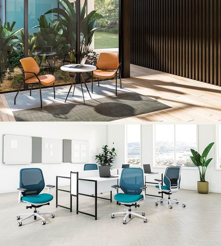 Tori – Tori collection.